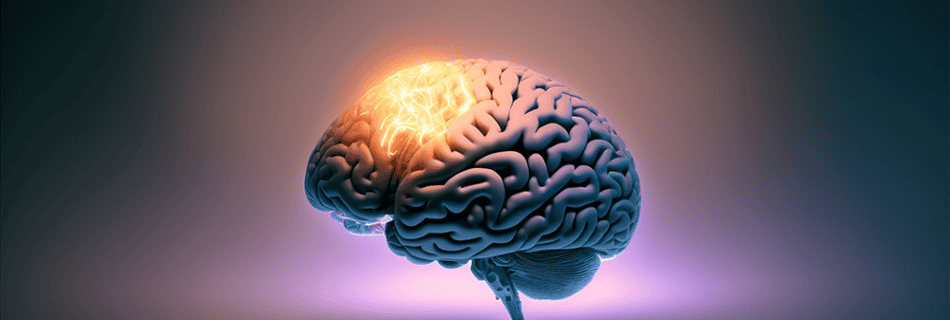 A digital illustration of a brain with neural activity, symbolizing EMDR therapy and mental health healing processes for therapists.