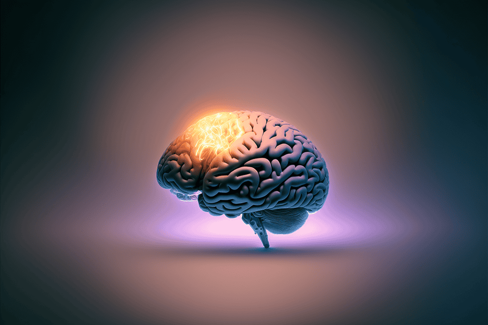 Addressing New EMDR Therapists’ Fears Through Consultation