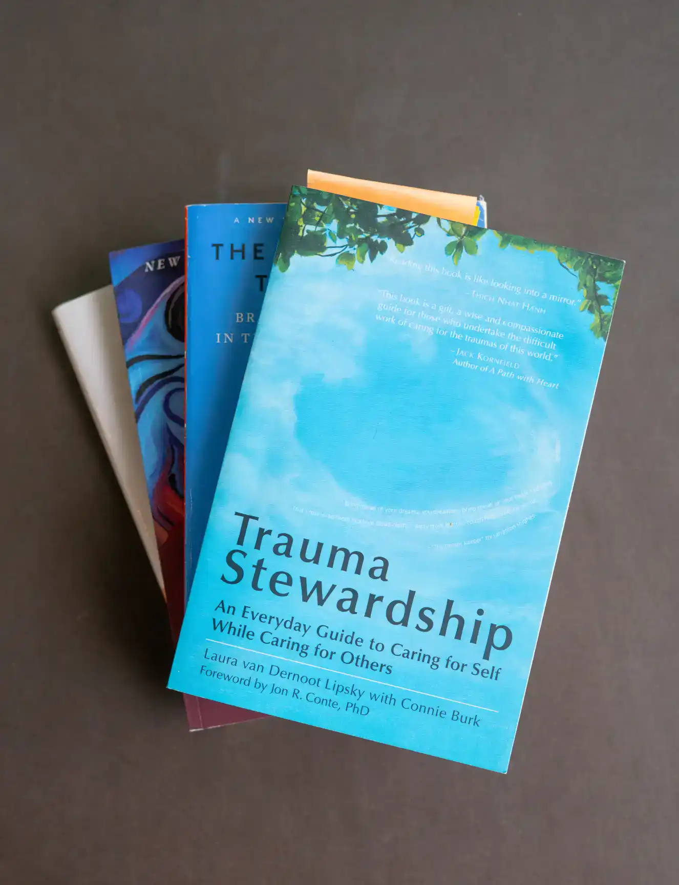 A stack of books, with "Trauma Stewardship" on top, focusing on self-care and healing for mental health professionals and caregivers.